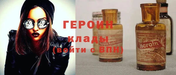 индика Дмитриев