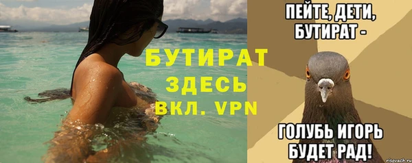 индика Дмитриев