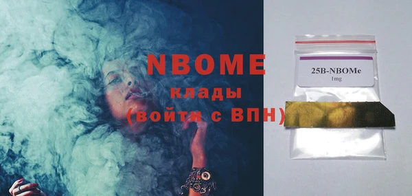 ПСИЛОЦИБИНОВЫЕ ГРИБЫ Гусь-Хрустальный