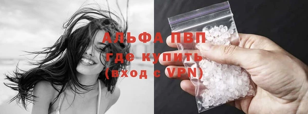 дживик Гусев
