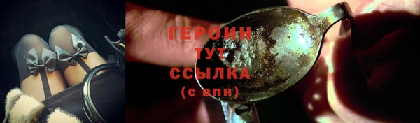 индика Дмитриев