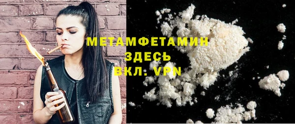 индика Дмитриев