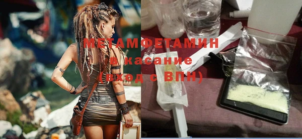 индика Дмитриев