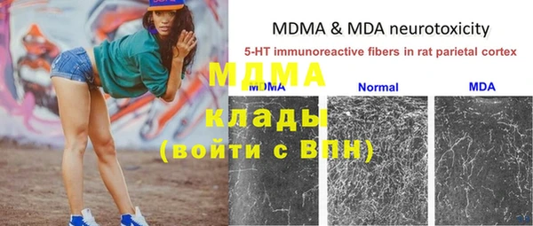 индика Дмитриев
