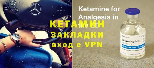индика Дмитриев