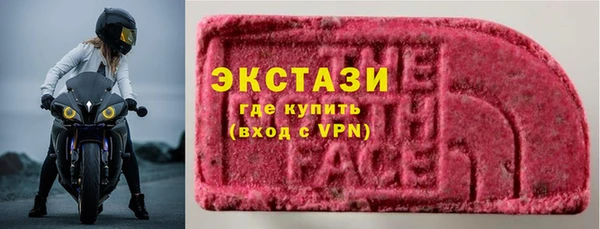индика Дмитриев